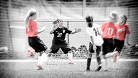 Fillies-10