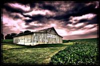 BoenkerHillVineyard