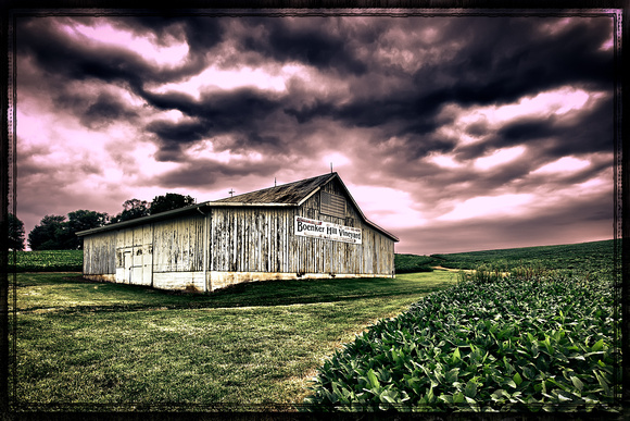 BoenkerHillVineyard