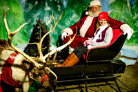 TreeLighting-10