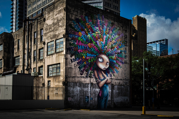 Houston Street Art-27