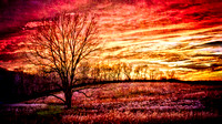 AfterTheFall
