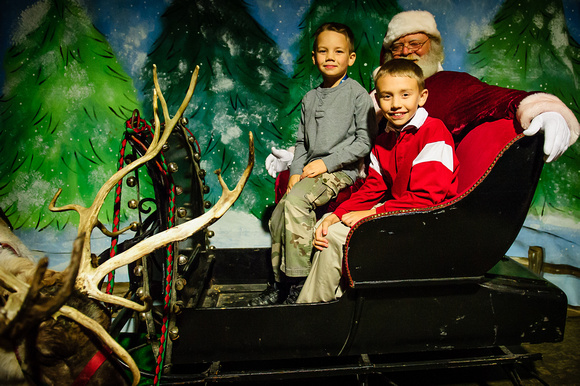 TreeLighting-11