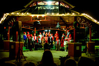 TreeLighting-6