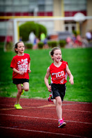 ICDTrack2015-20
