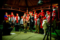 TreeLighting-4