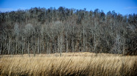 WildWingUplandHunting-1