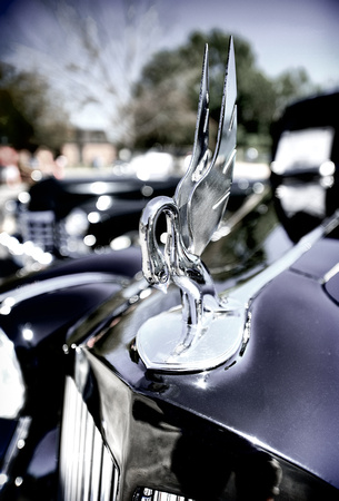Packard Swan Hood Ornament
