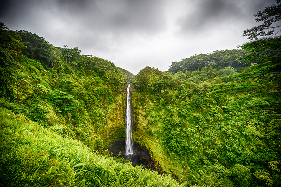 Hawaii 2014-38